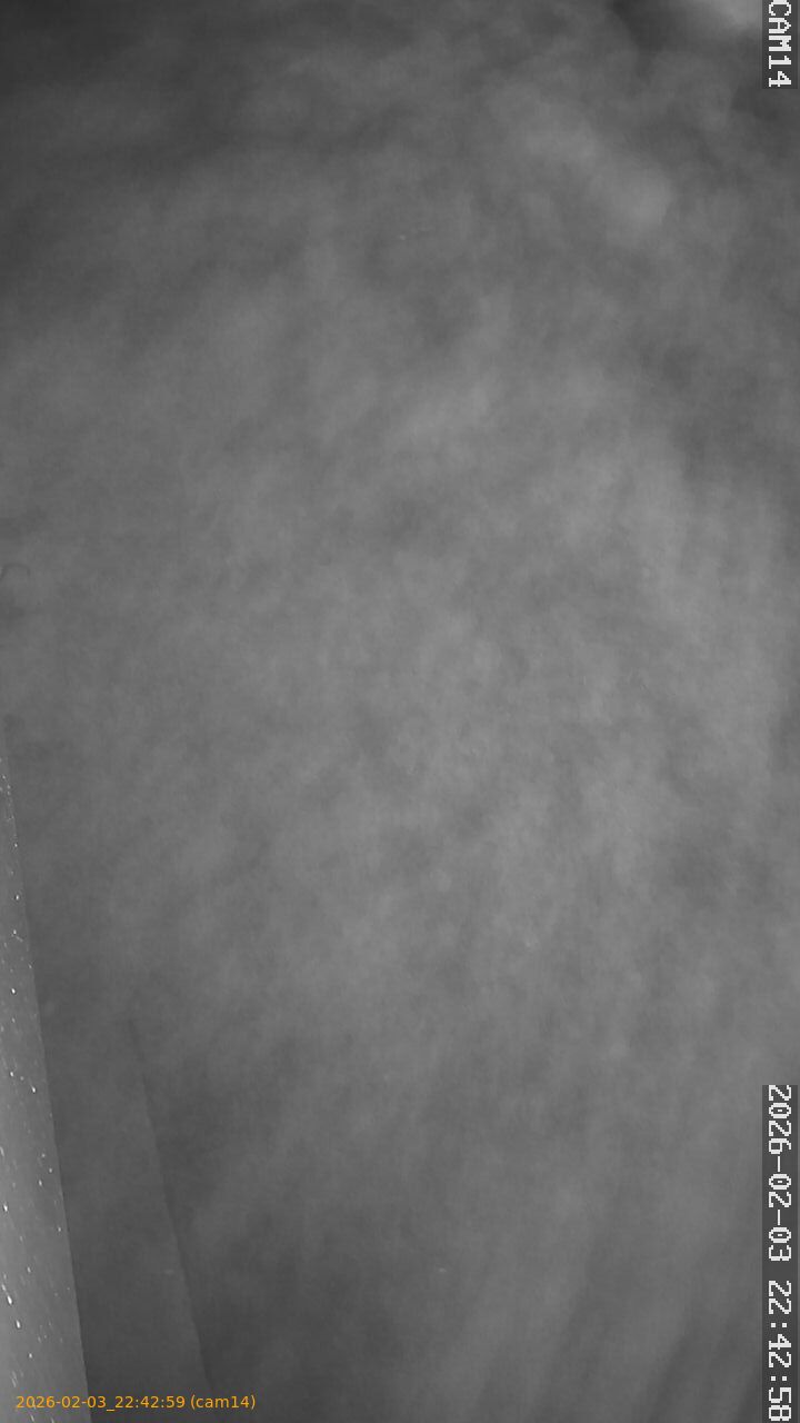 thumbnail_202602032242