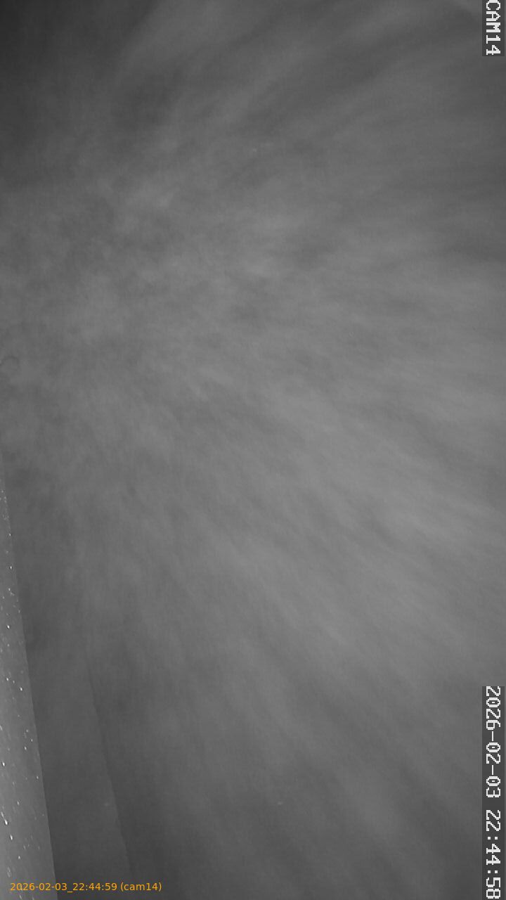 thumbnail_202602032244