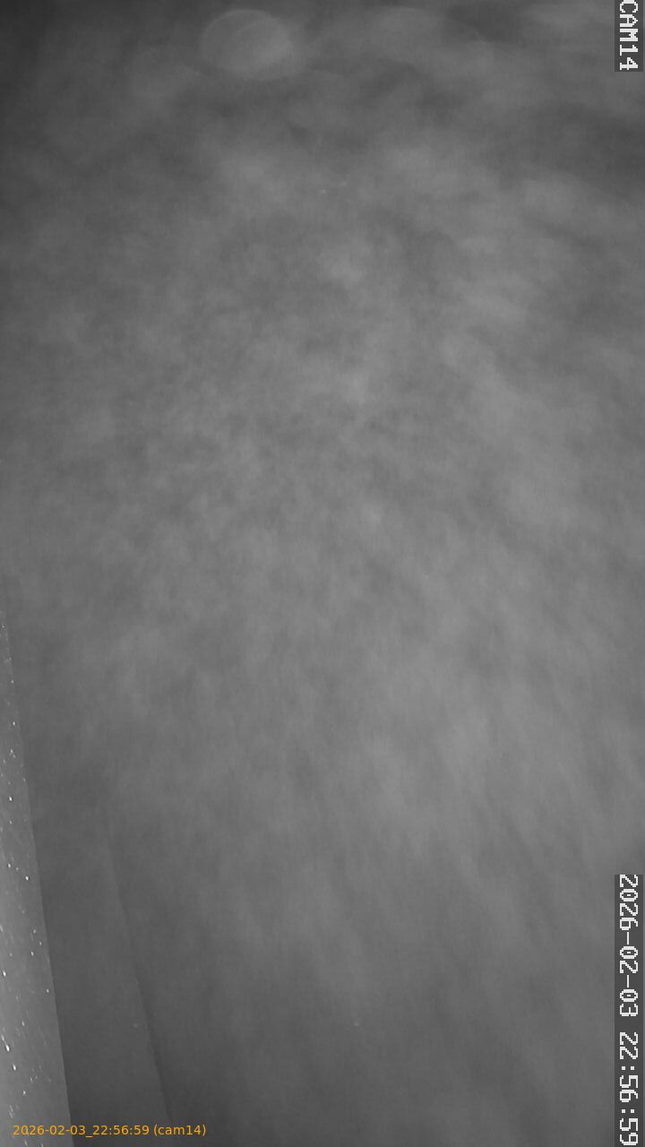 thumbnail_202602032256