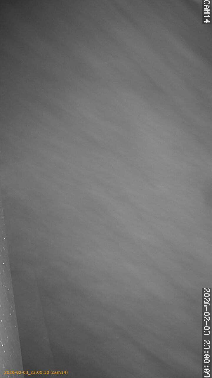 thumbnail_20260203230010