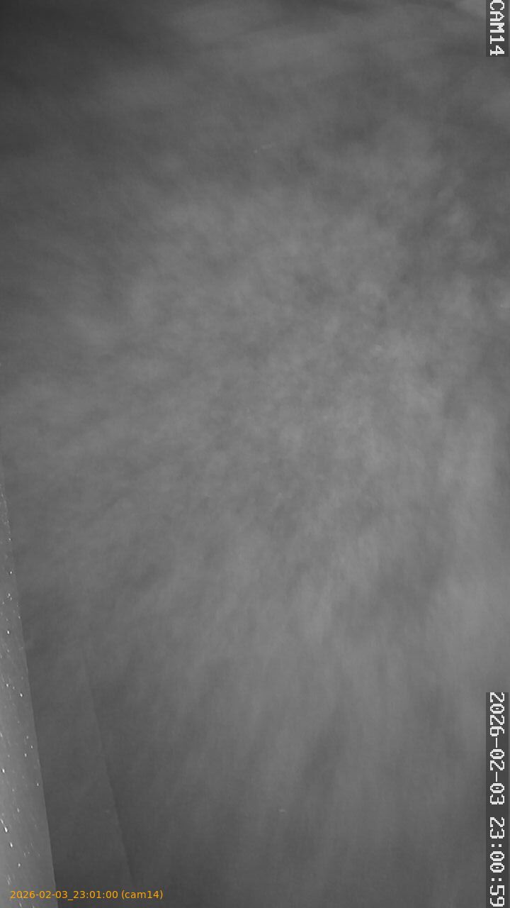 thumbnail_20260203230100