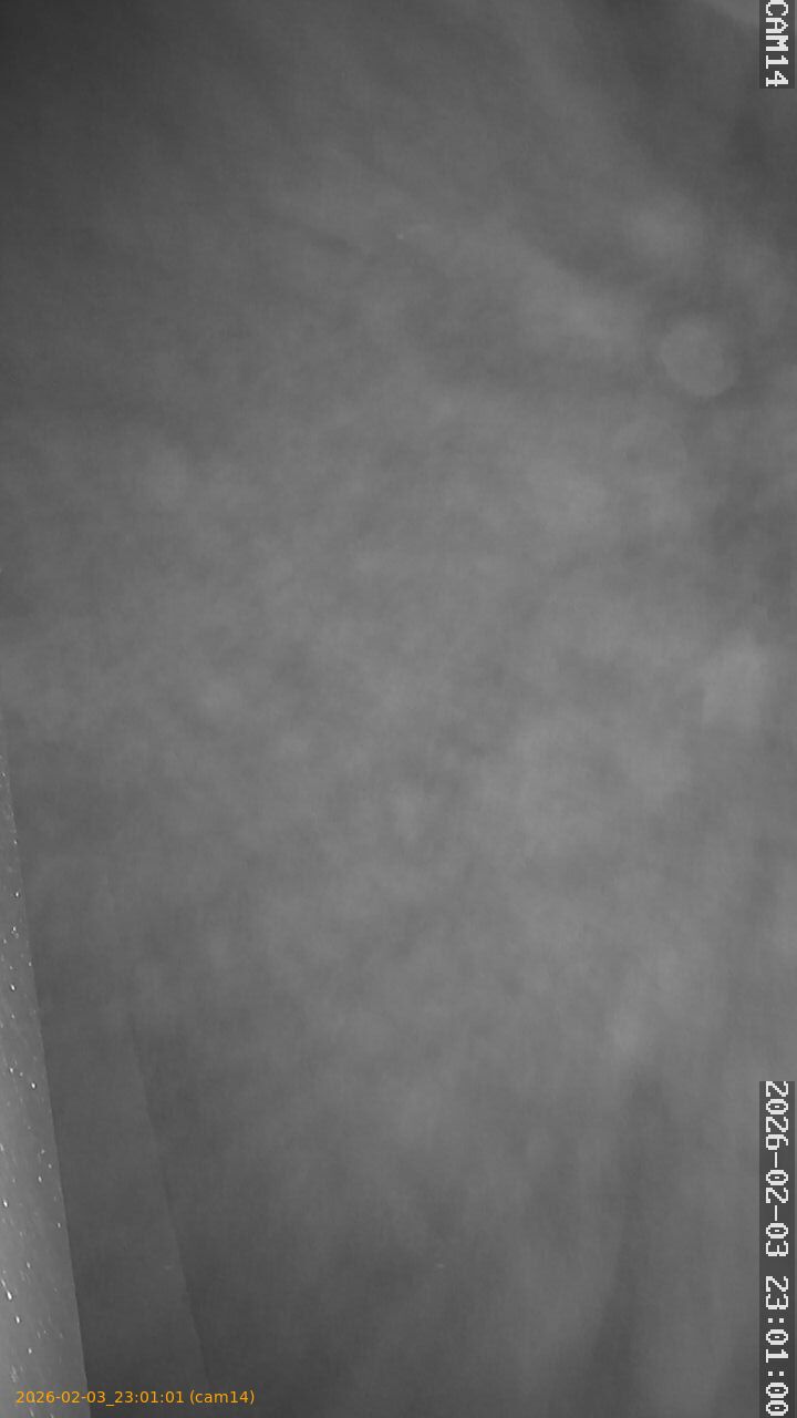 thumbnail_20260203230101