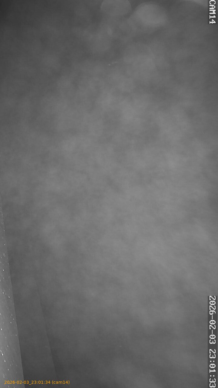 thumbnail_20260203230134