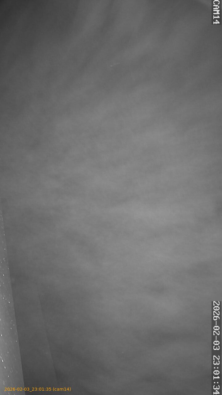 thumbnail_20260203230135