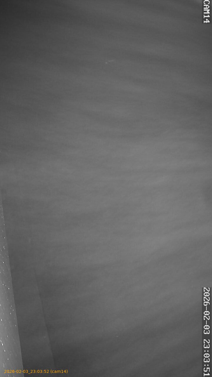 thumbnail_20260203230352