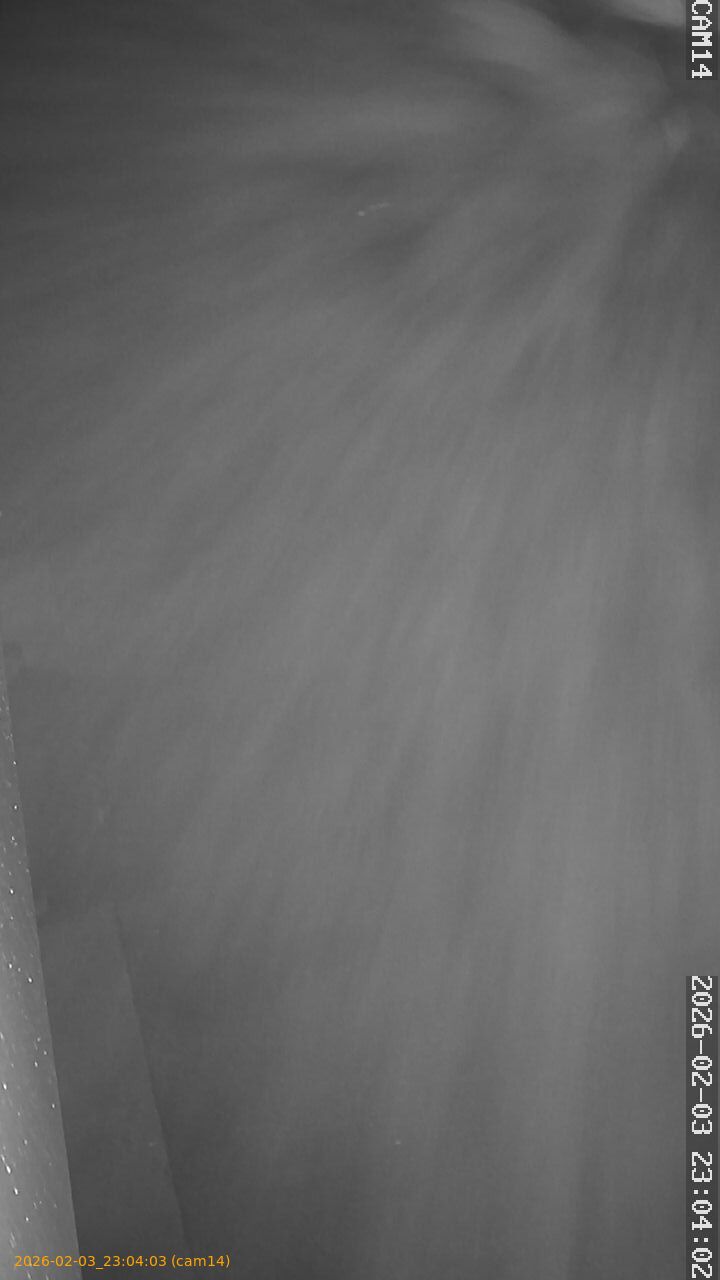 thumbnail_20260203230403