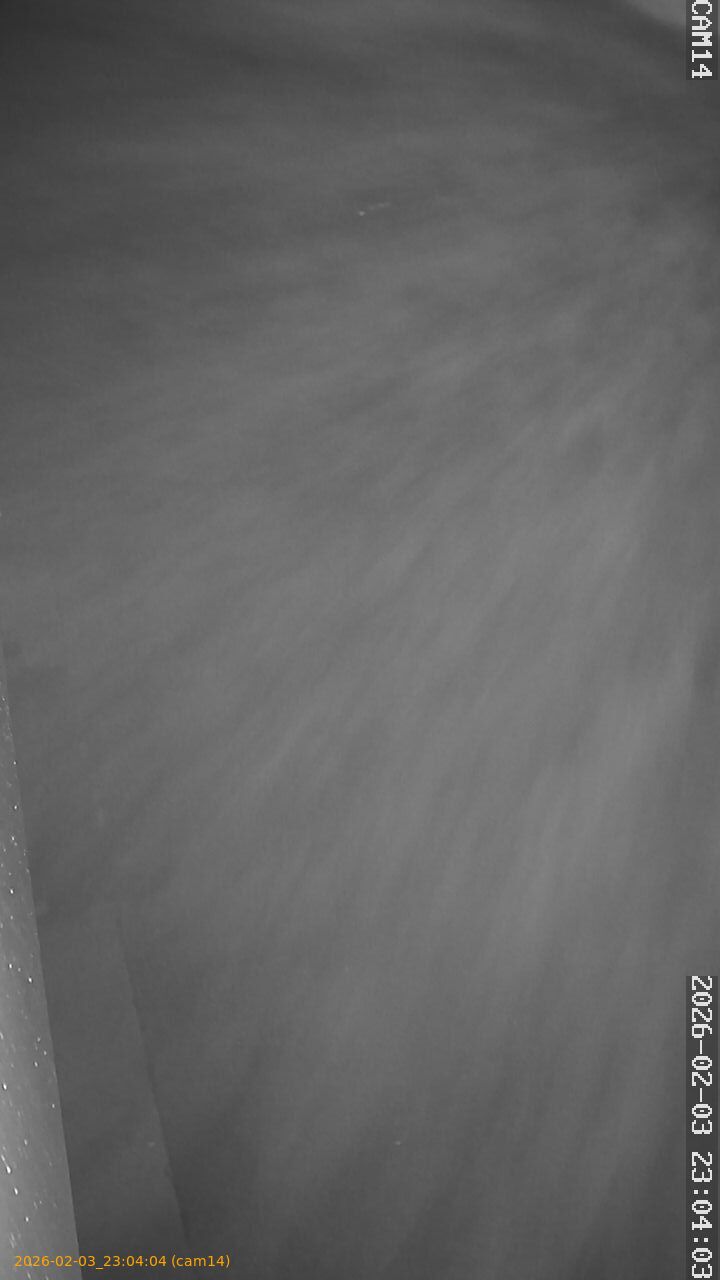 thumbnail_20260203230404