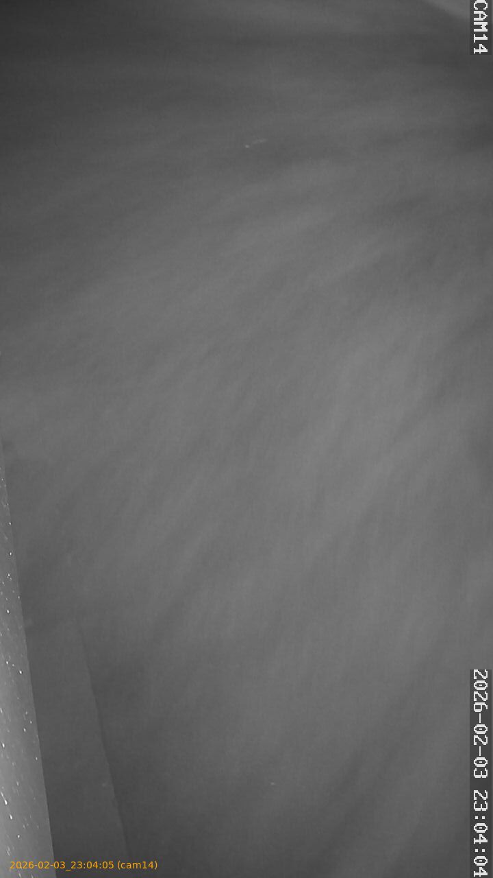 thumbnail_20260203230405