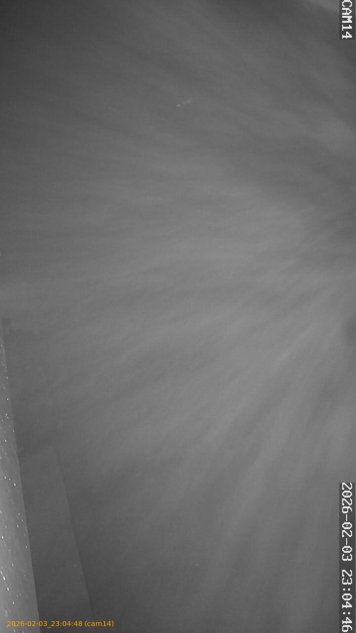 thumbnail_20260203230448