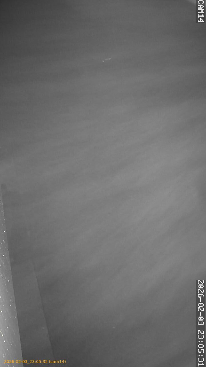 thumbnail_20260203230532