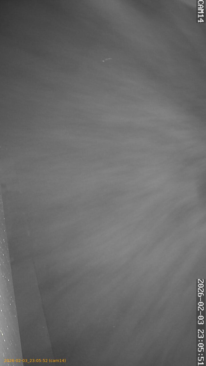 thumbnail_20260203230552