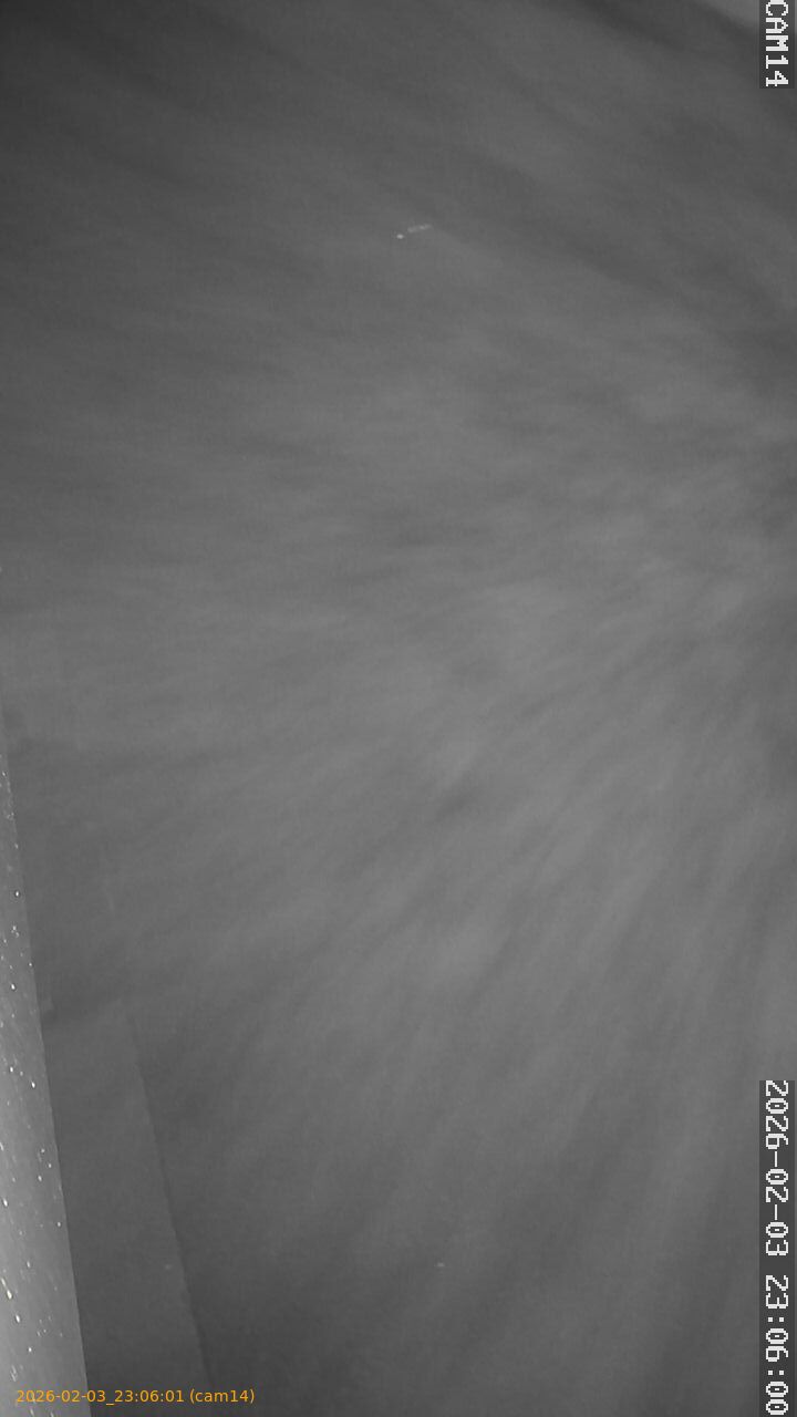 thumbnail_20260203230601