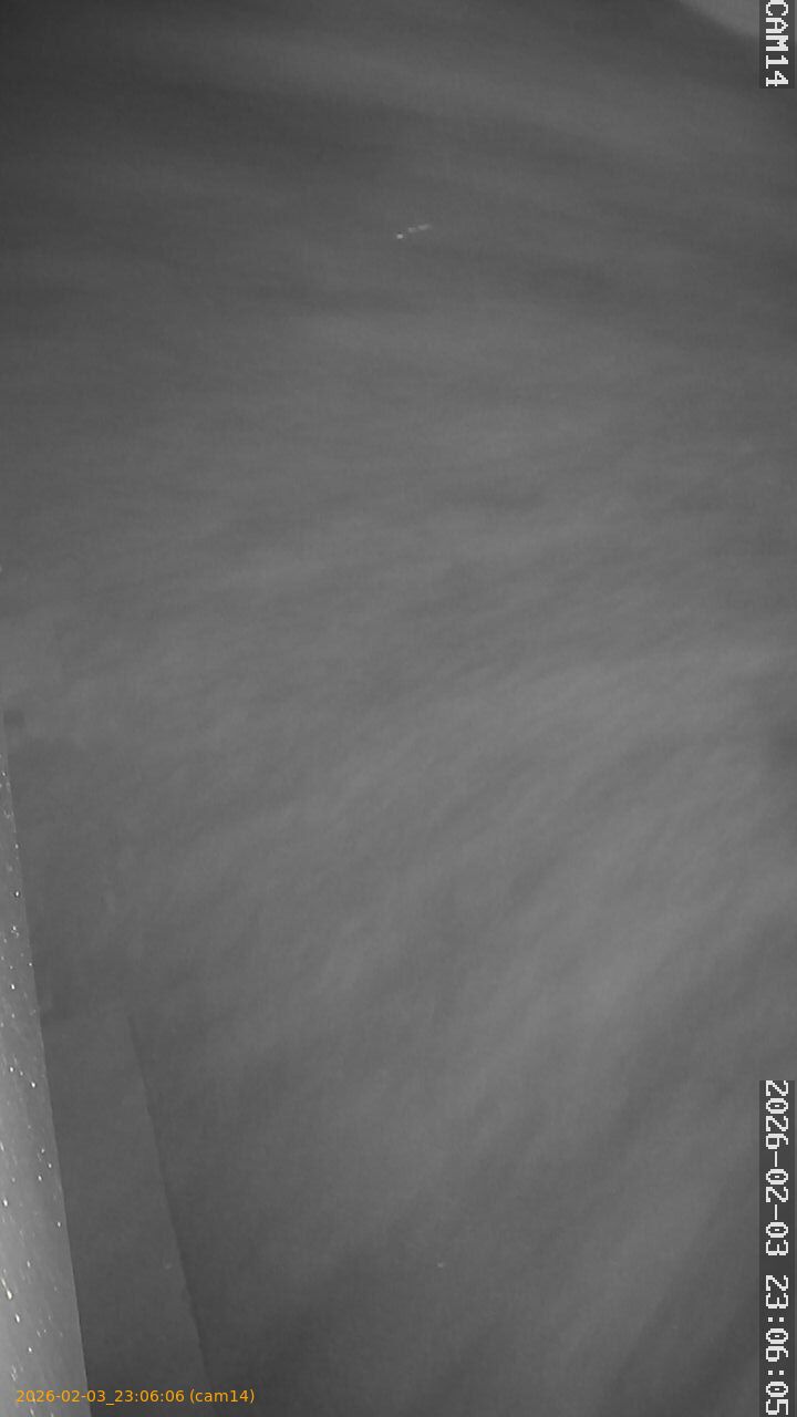 thumbnail_20260203230606