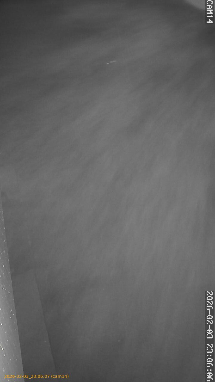 thumbnail_20260203230607