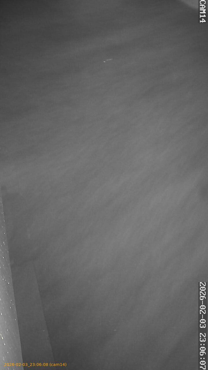 thumbnail_20260203230608