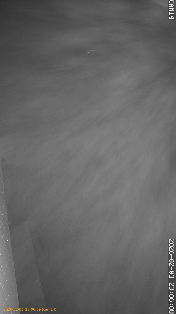 thumbnail_20260203230609