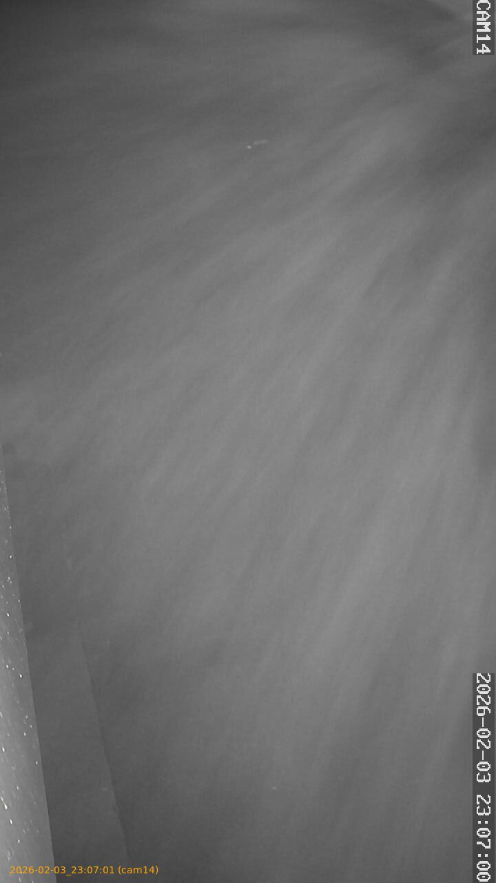 thumbnail_20260203230701