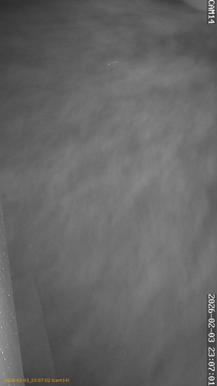 thumbnail_20260203230702