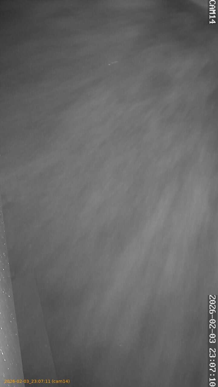 thumbnail_20260203230711