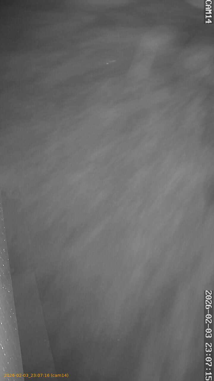 thumbnail_20260203230716