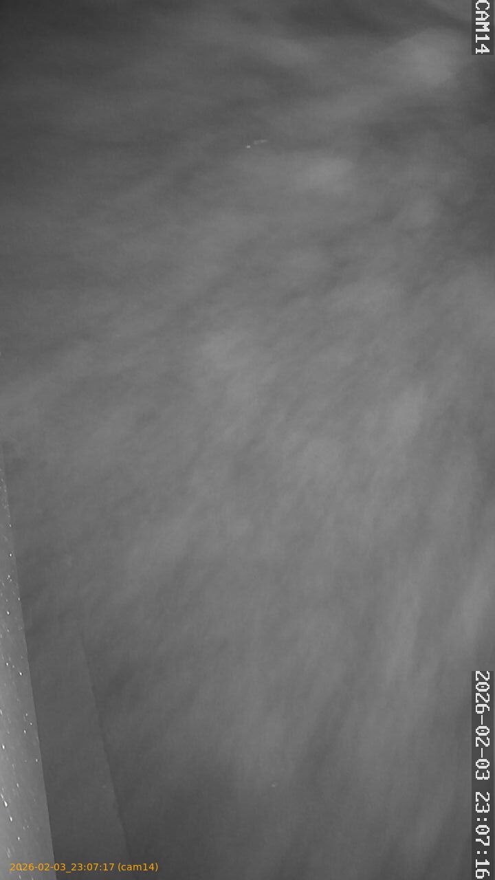 thumbnail_20260203230717