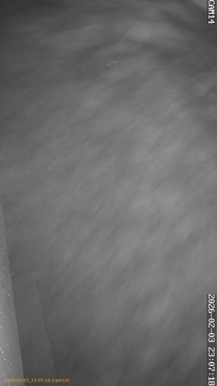 thumbnail_20260203230719