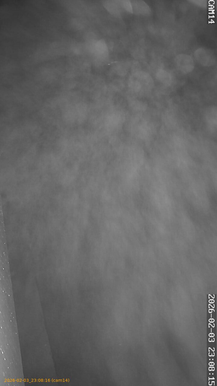 thumbnail_20260203230816