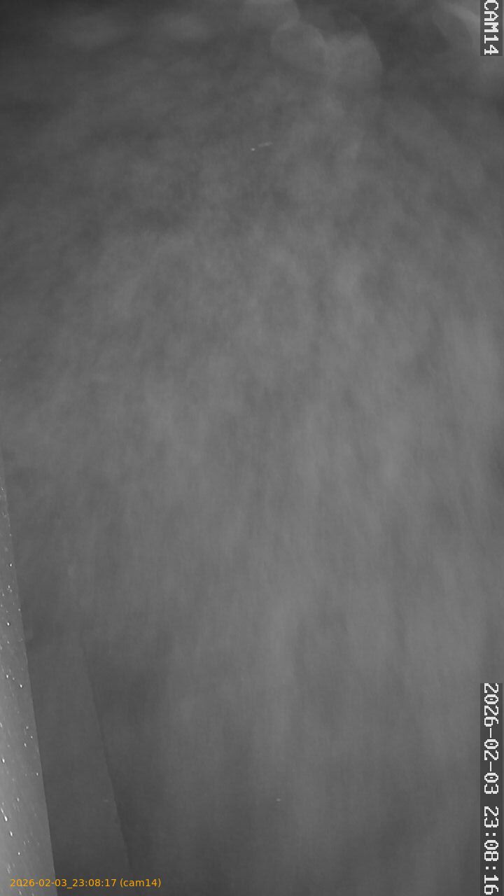 thumbnail_20260203230817