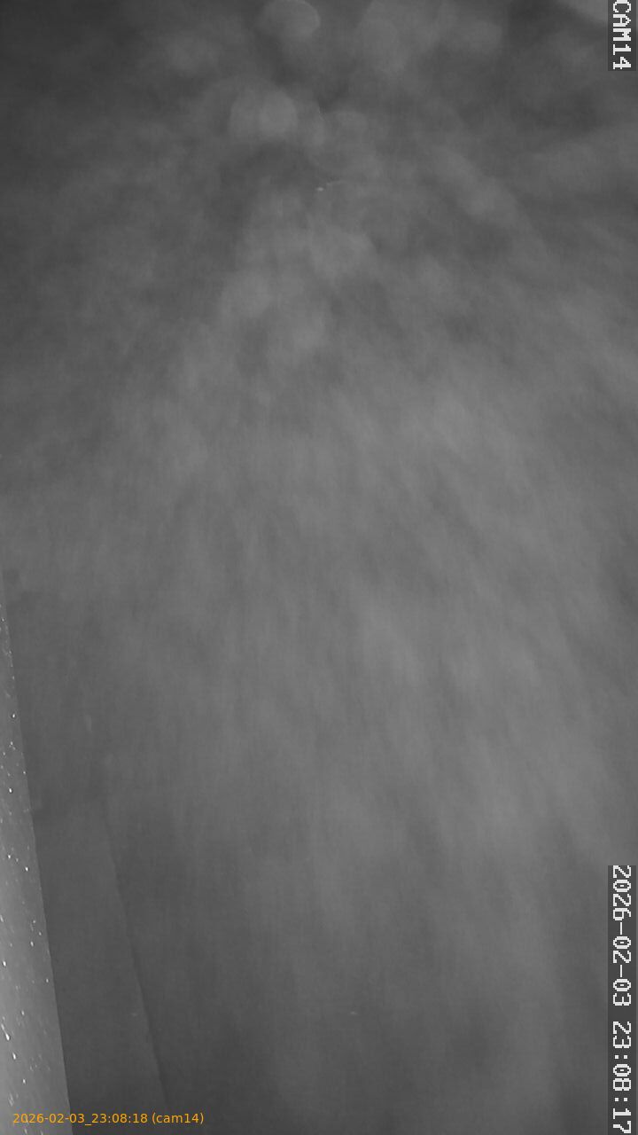 thumbnail_20260203230818