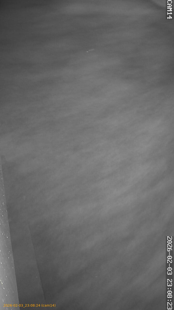 thumbnail_20260203230824