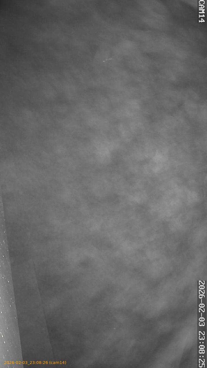 thumbnail_20260203230826