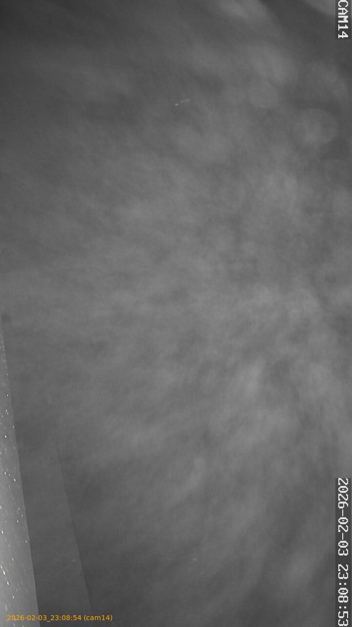 thumbnail_20260203230854