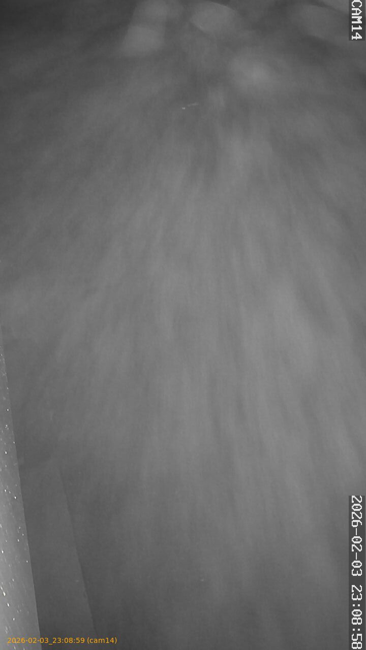 thumbnail_20260203230859