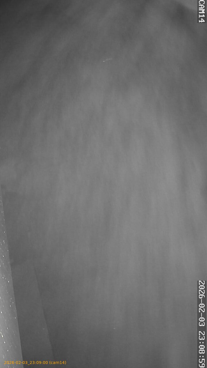 thumbnail_20260203230900