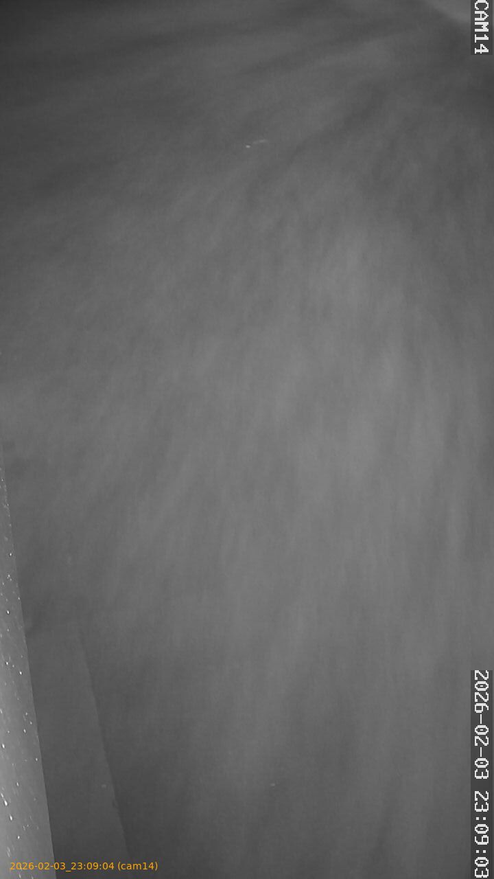 thumbnail_20260203230904