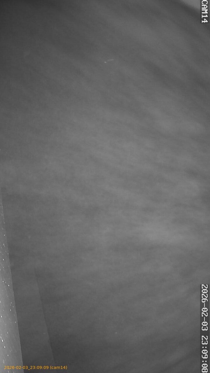 thumbnail_20260203230909