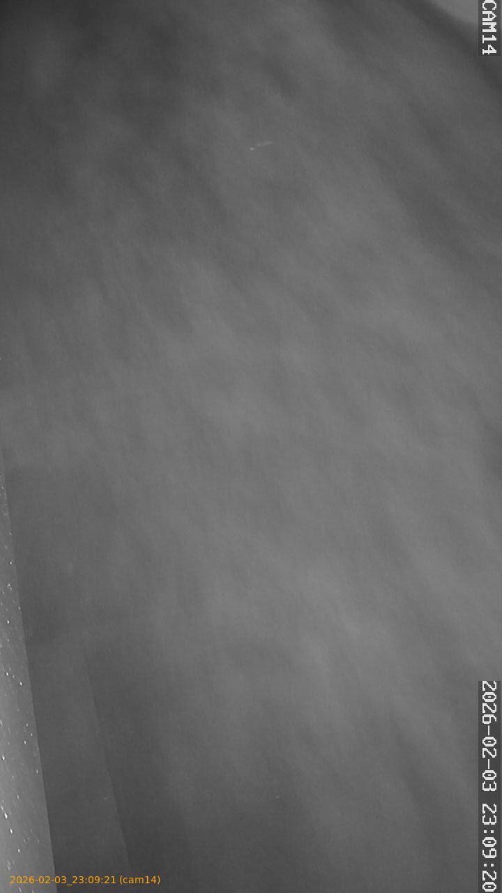 thumbnail_20260203230921