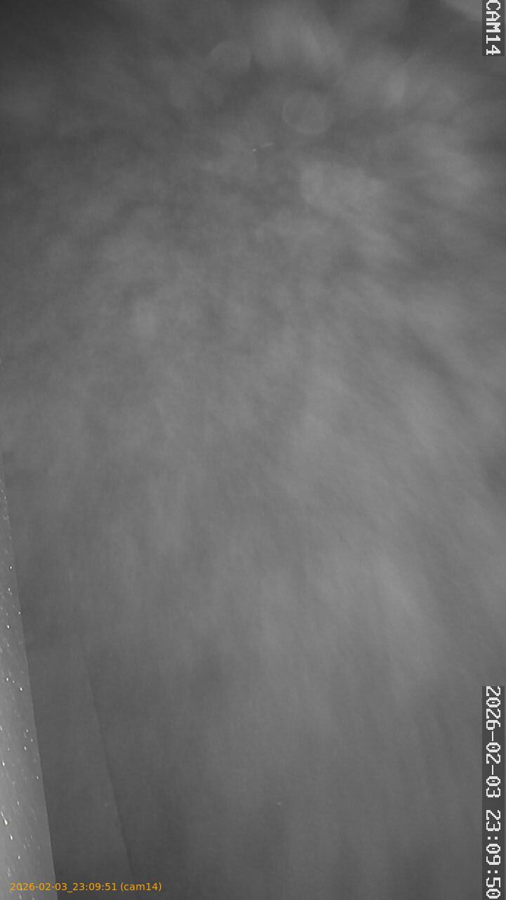 thumbnail_20260203230951