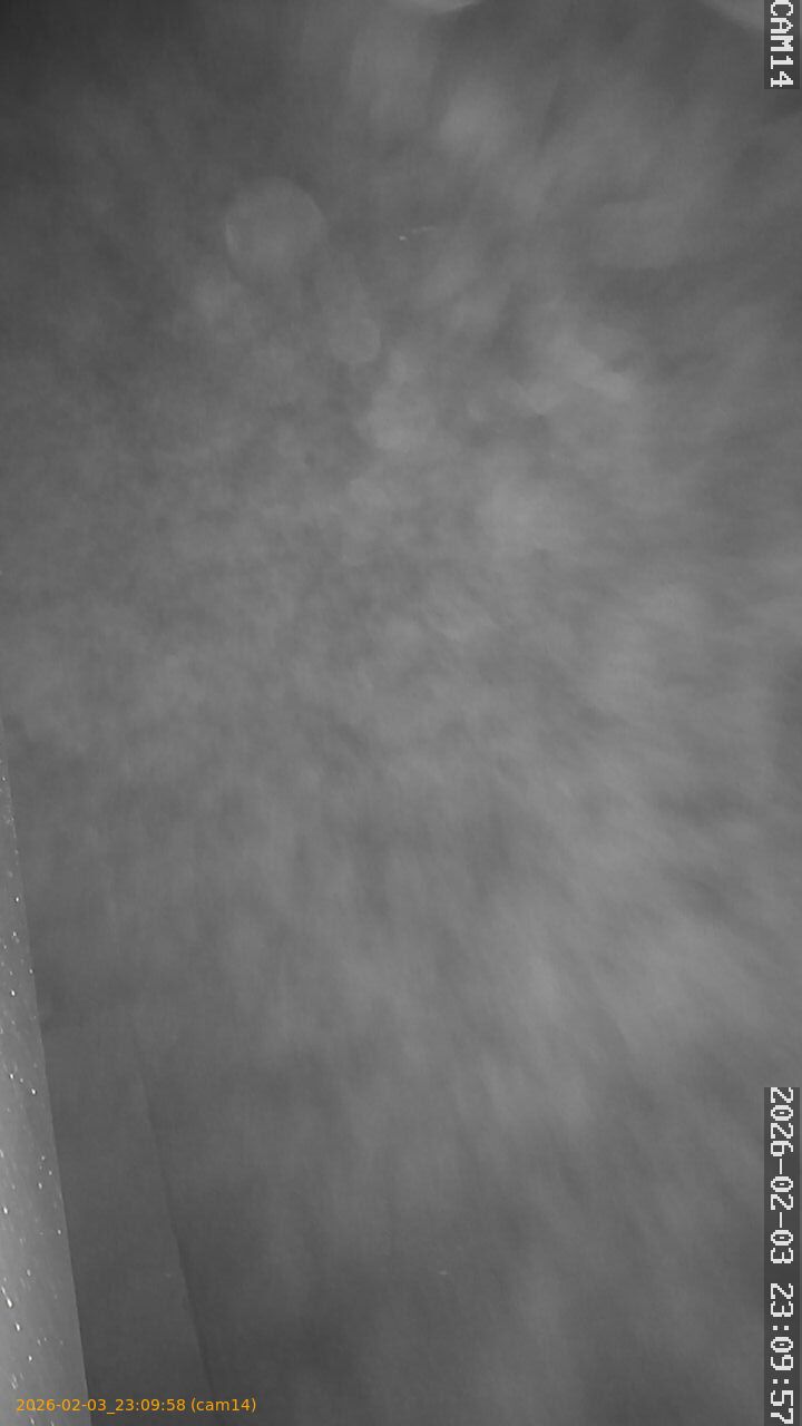 thumbnail_20260203230958