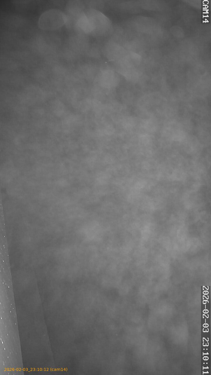 thumbnail_20260203231012