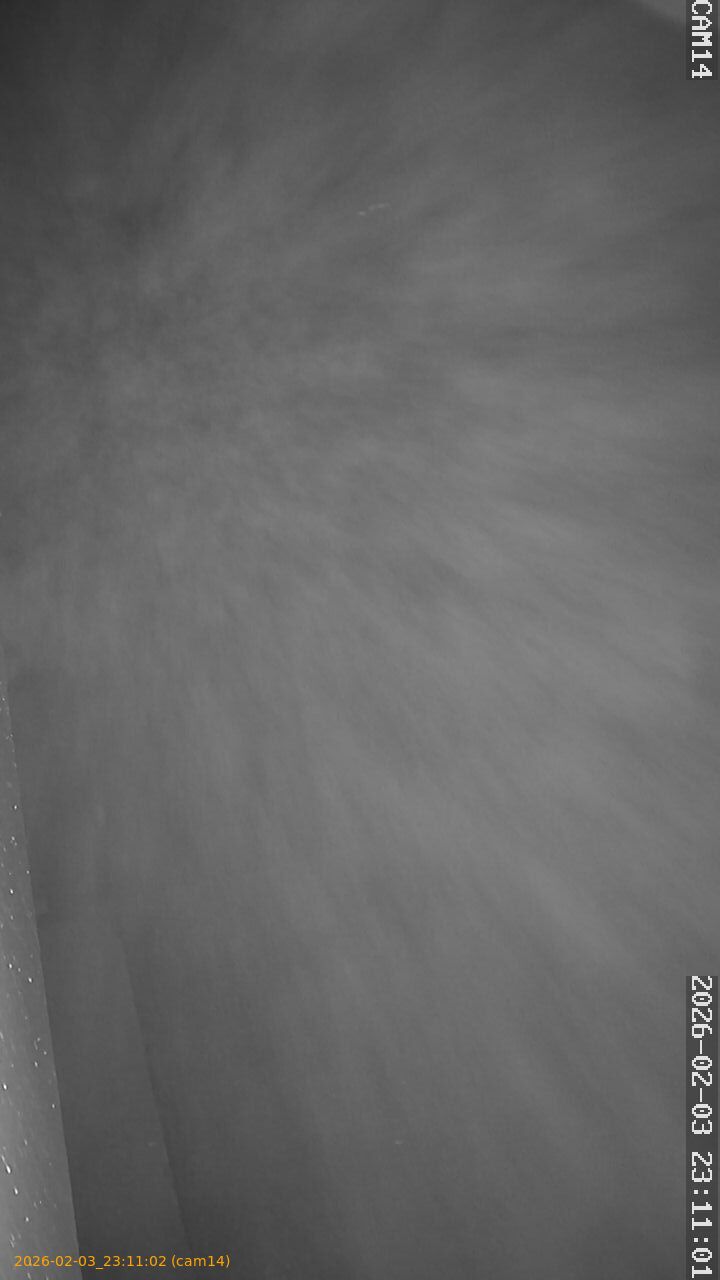 thumbnail_20260203231102