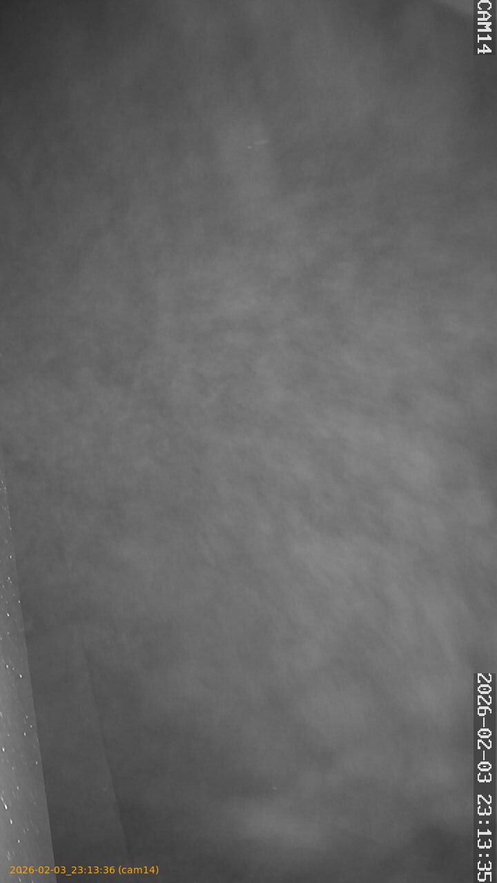 thumbnail_20260203231336