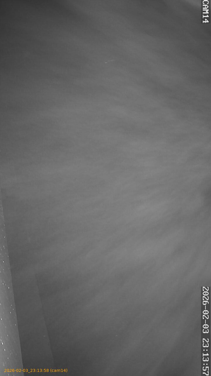 thumbnail_20260203231358