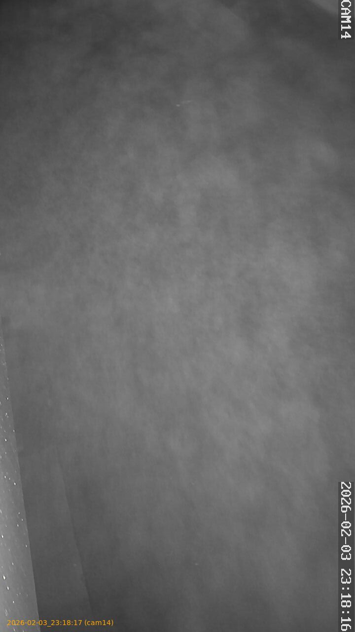 thumbnail_20260203231817