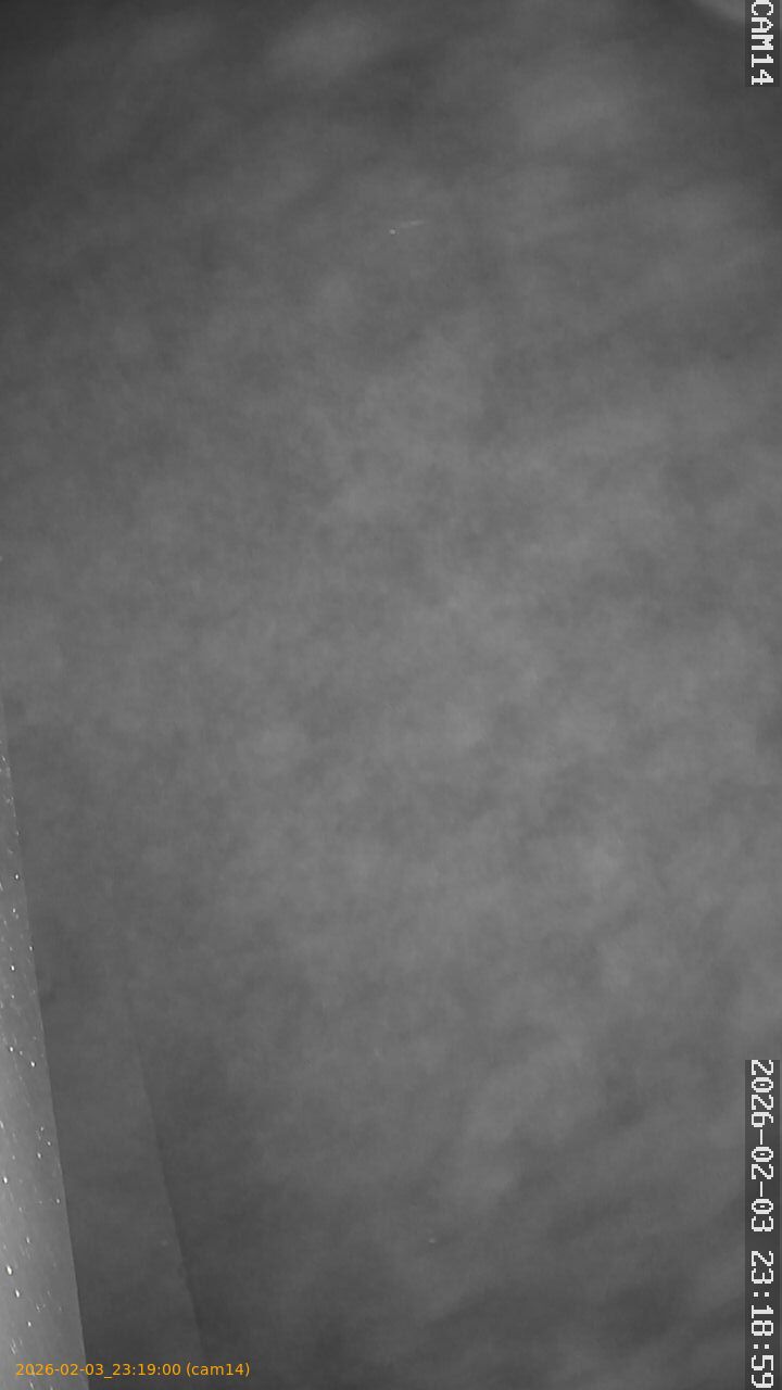 thumbnail_20260203231900