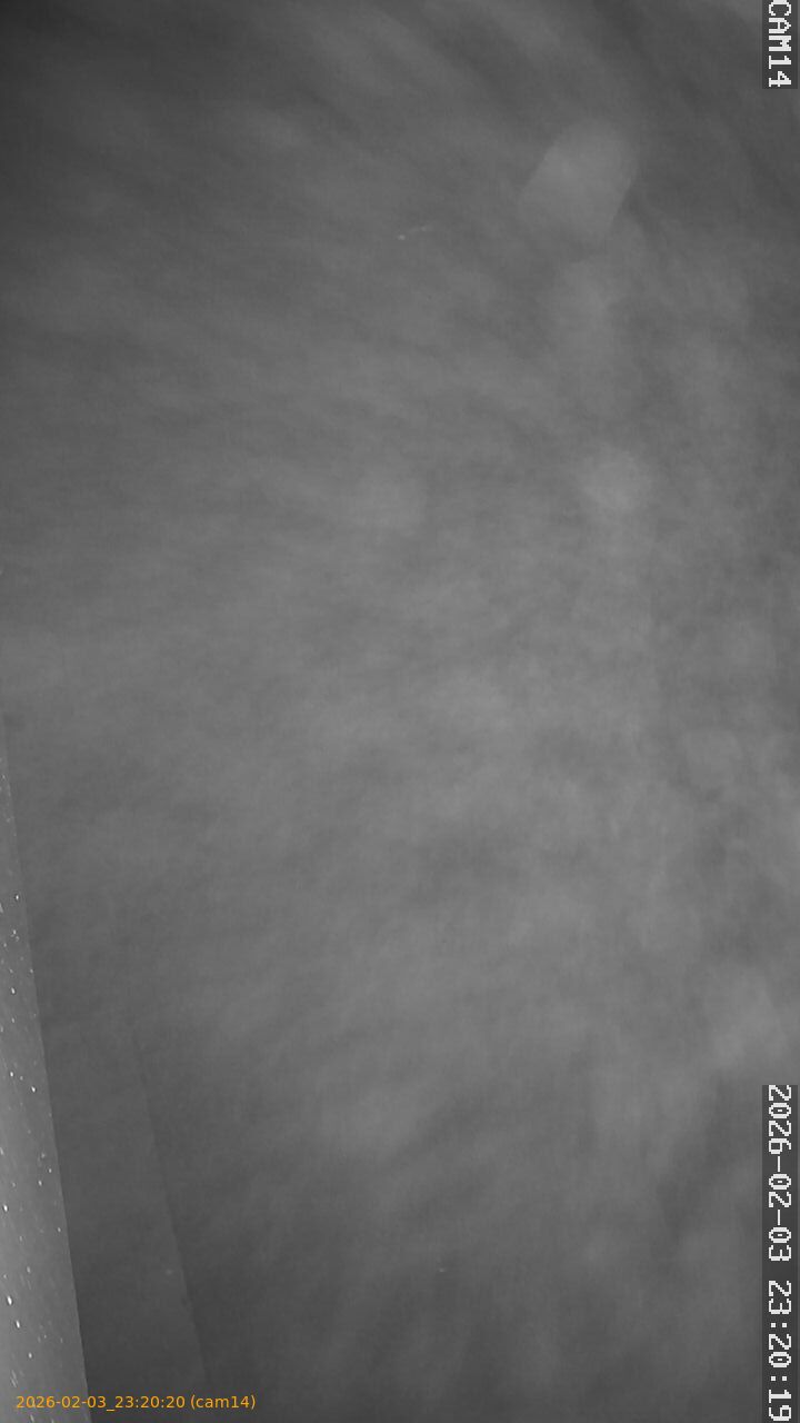 thumbnail_20260203232020