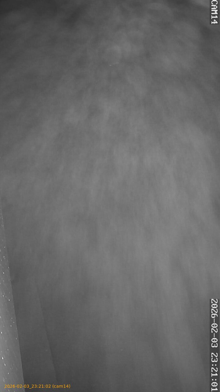 thumbnail_20260203232102