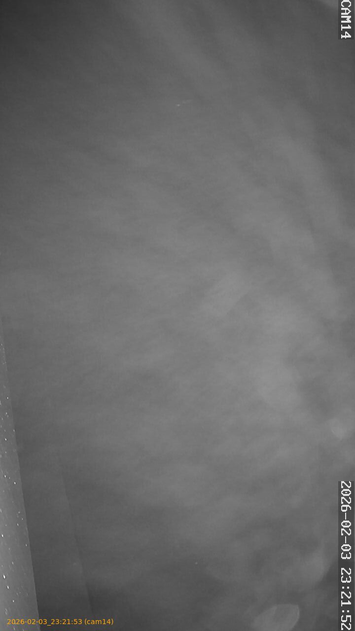 thumbnail_20260203232153