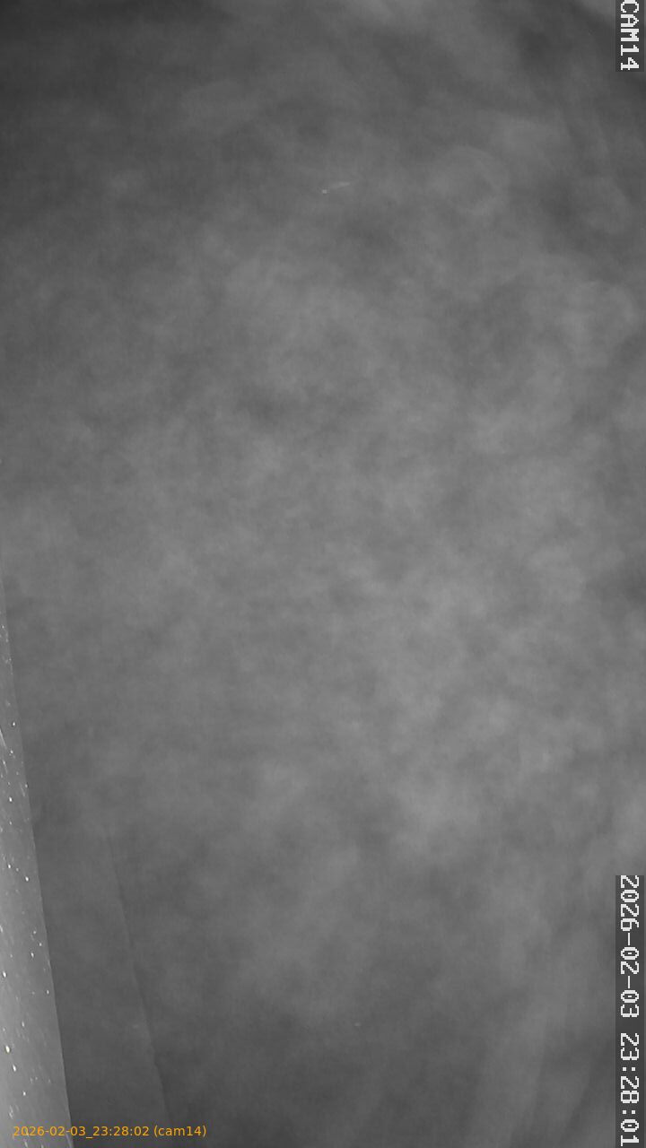 thumbnail_20260203232802