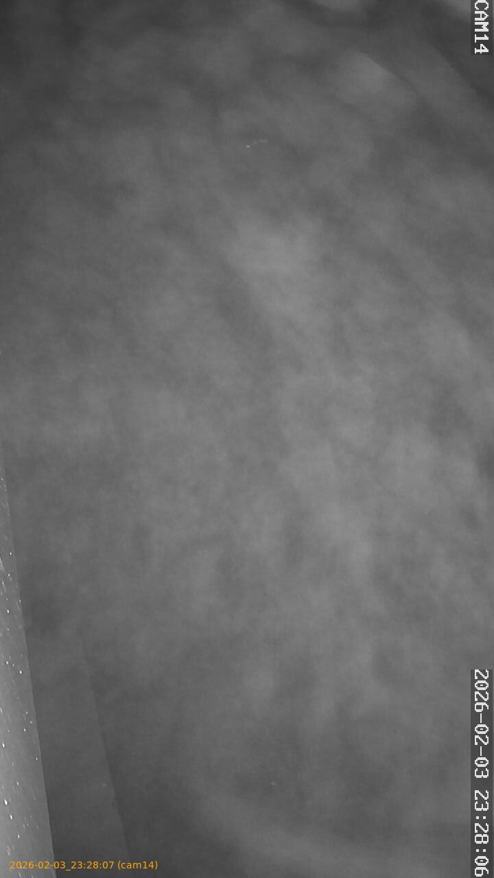 thumbnail_20260203232807